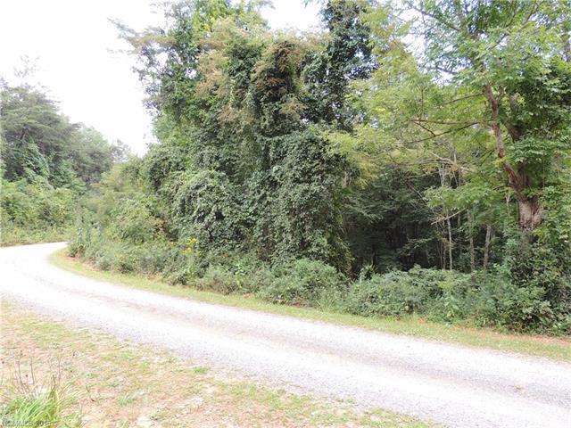288 Bearwallow Road - Photo 1