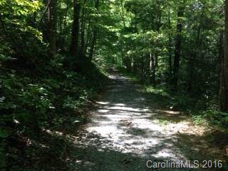1215 Bee Tree Road - Photo 1