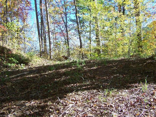 Lot 71 Running Deer Lane - Photo 1
