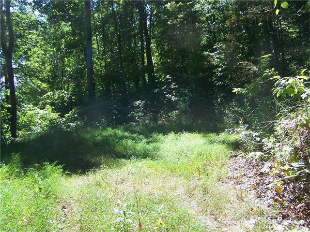 Lot 24 Running Deer Lane - Photo 1