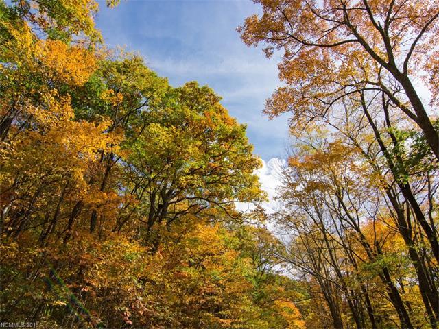 9999 Eagle Bald Trail - Photo 1