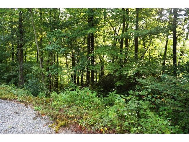 Lot 43 Eastatoe Gap Road - Photo 1