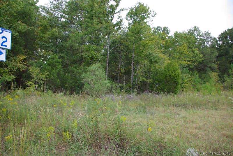 1520 Saluda Street - Photo 1