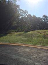6025 Merlot Trace - Photo 1