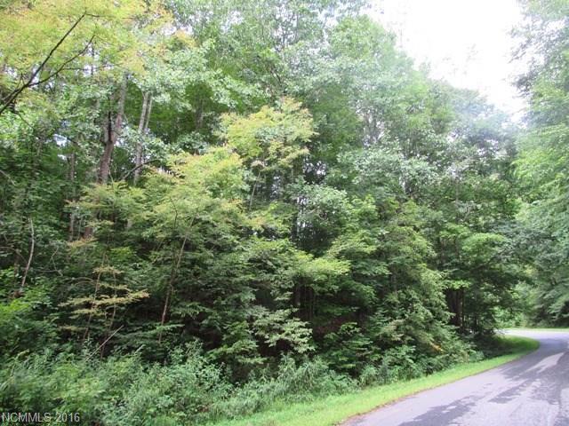 TBD Moonshine Mountain Road - Photo 1
