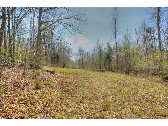 00 Asbury Chapel Road - Photo 1