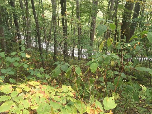 000 Alvins Fox Trail - Photo 1