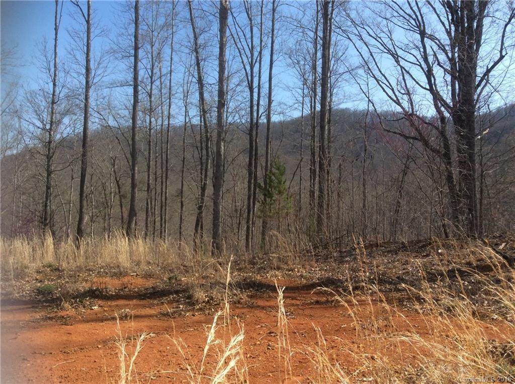 999 Hwy 226 Highway - Photo 1