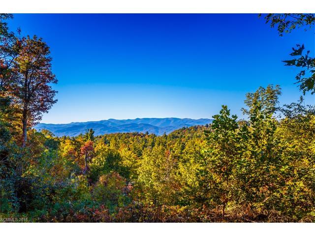 TR-10C Fox Tower Road - Photo 1