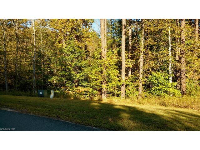 0 Lake Adger Parkway - Photo 1