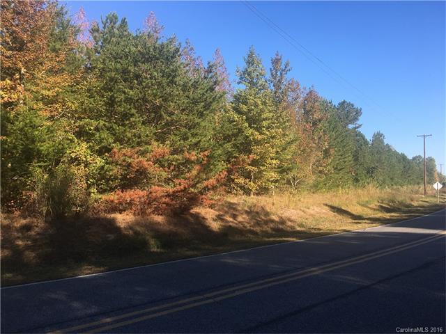 00 Mauney Farm Road - Photo 1