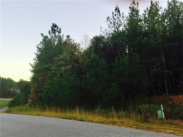 Lot 29 Atwell Drive - Photo 1
