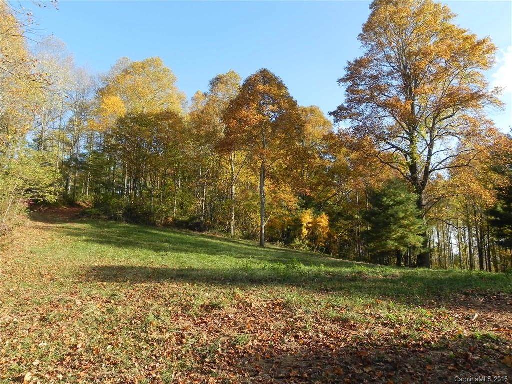 9999 Elk Mountain Scenic Highway - Photo 1