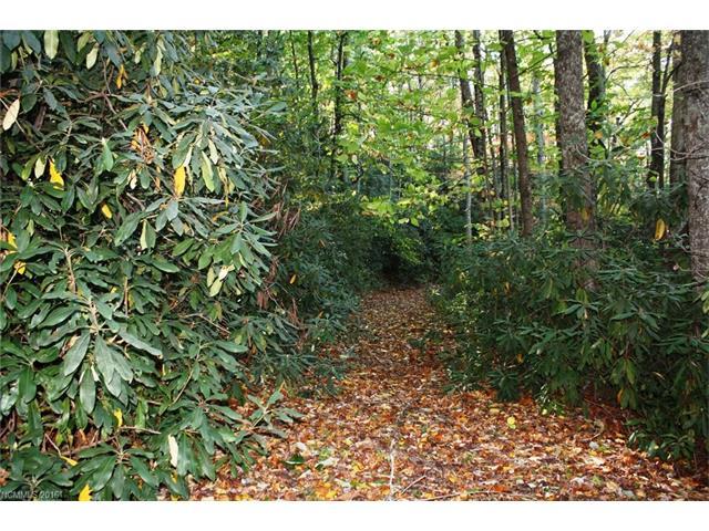 SR #1101 Fork Creek Road - Photo 1
