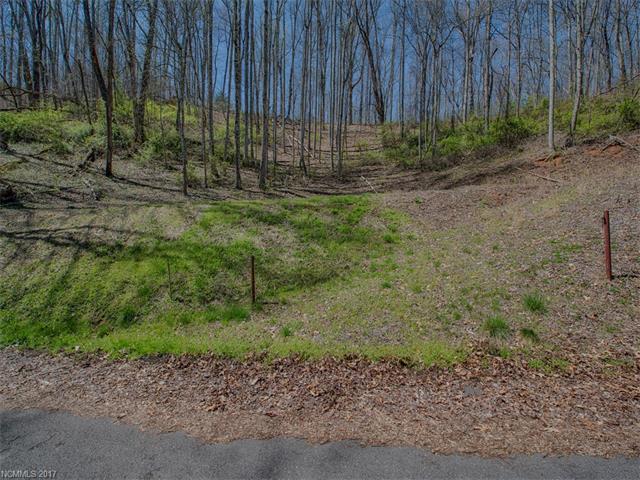 Lot 2 Quail Mountain Lane - Photo 1