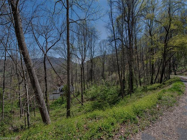 Lot 4 Quail Mountain Lane - Photo 1