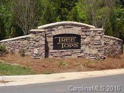 Lot 127 Thistle Glen Court - Photo 1