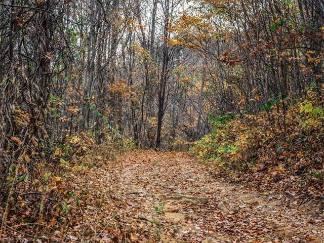 9999 Ox Creek Road - Photo 1