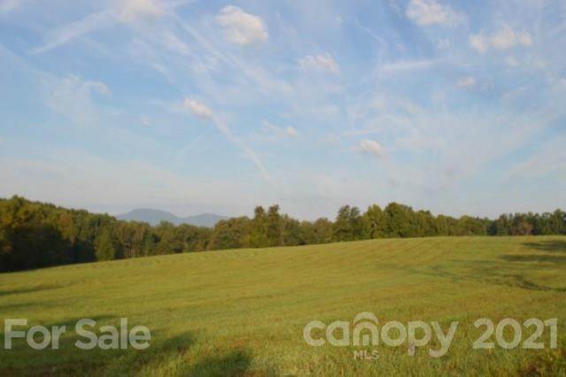 225 Race Track Road - Photo 1