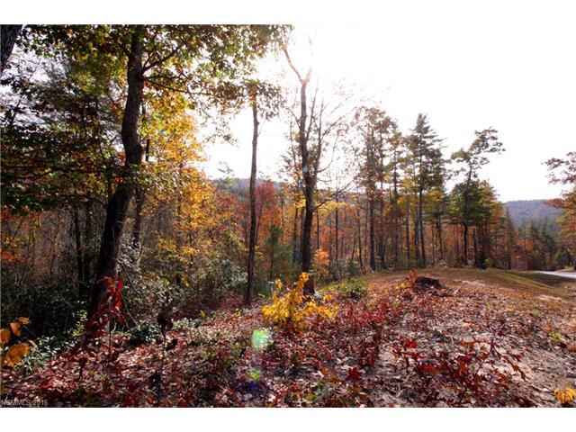 Lot 53 Wineberry Trail - Photo 1