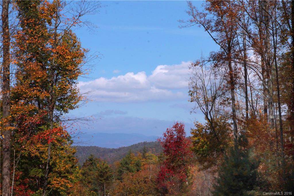 Lot 81 Peppervine Circle - Photo 1