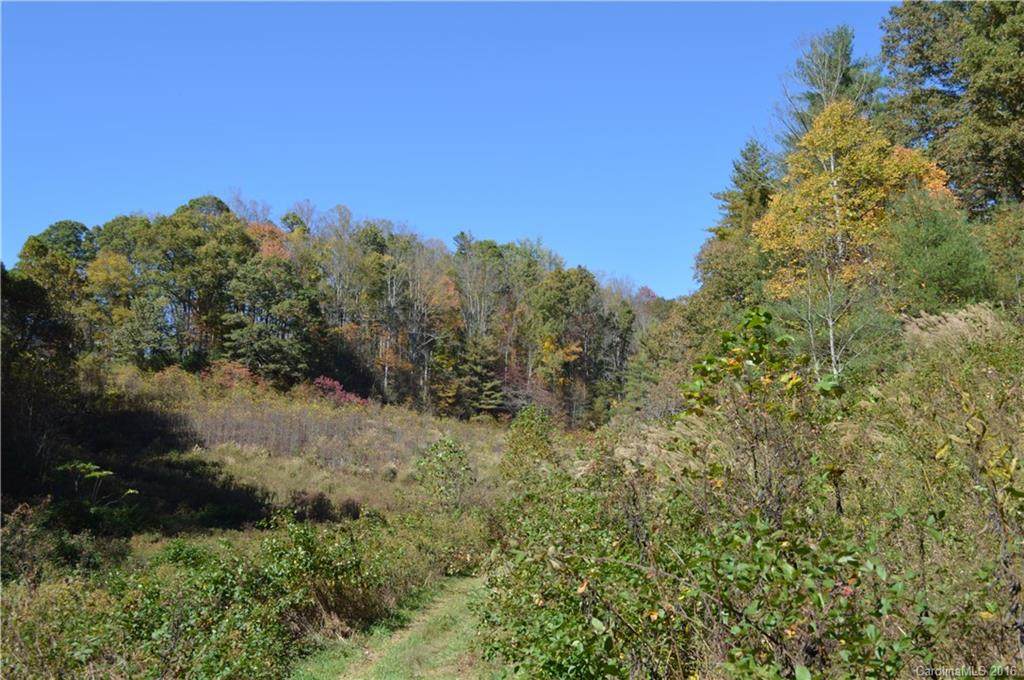 00 Lewis Branch - Photo 1