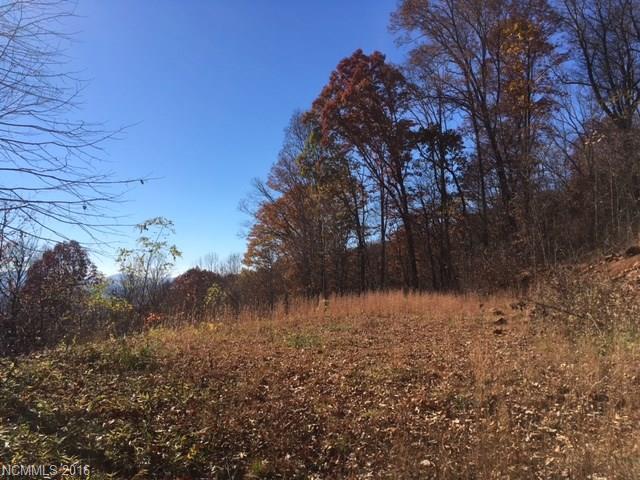 24 Poplar Forest Road - Photo 1