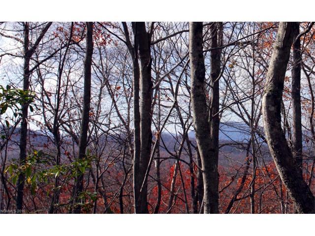 Lot 68 Whitetail Trail - Photo 1