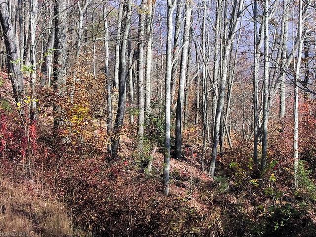 00 Bridal Veil Lane - Photo 1