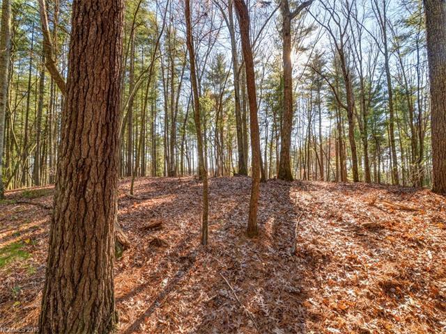 Lot 5 Cane Creek Road - Photo 1
