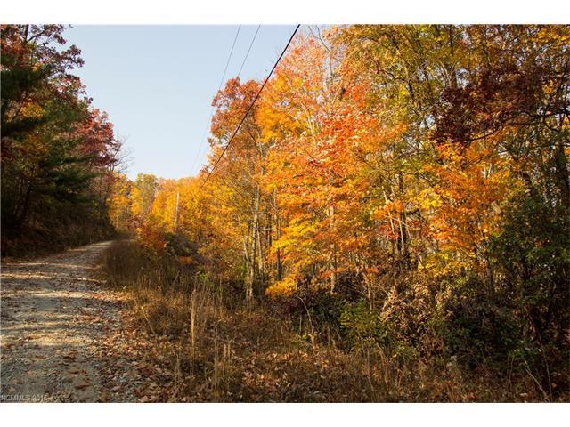 Lot 78 Oak Laurel Road - Photo 1