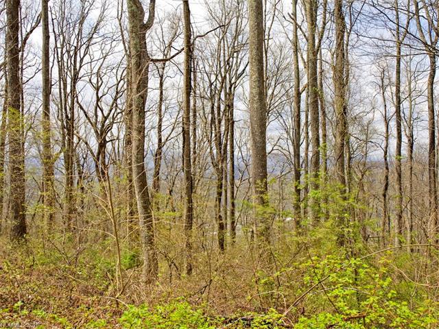 99999 Old Forest Drive - Photo 1