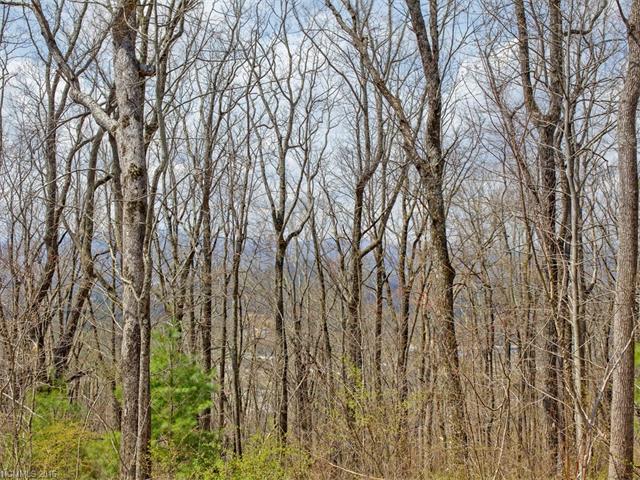 138 Old Forest Drive - Photo 1