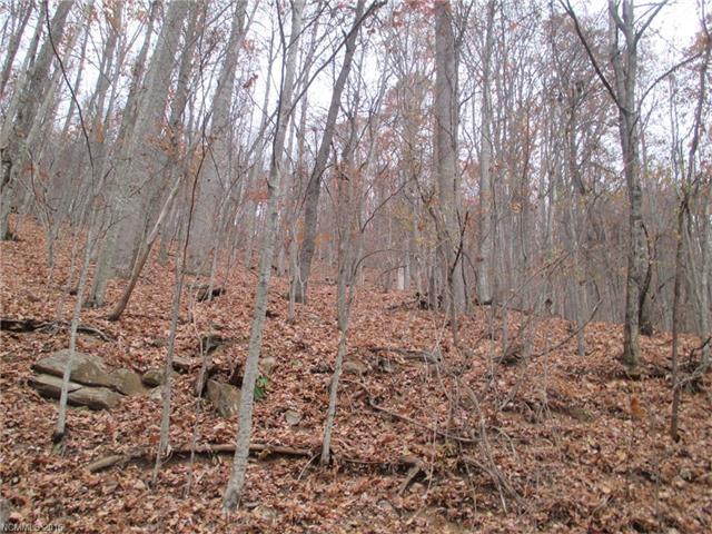 TBD Chestnut Ridge Road - Photo 1