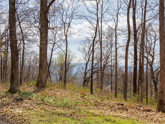 99999 Old Forest Drive - Photo 1