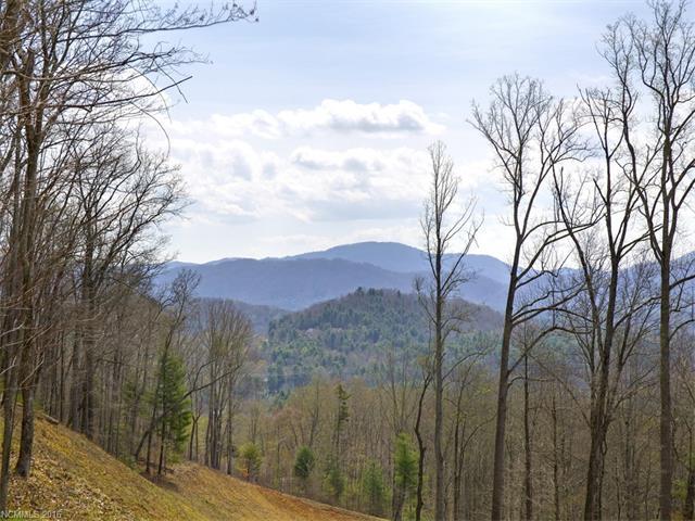 75 Old Forest Drive - Photo 1