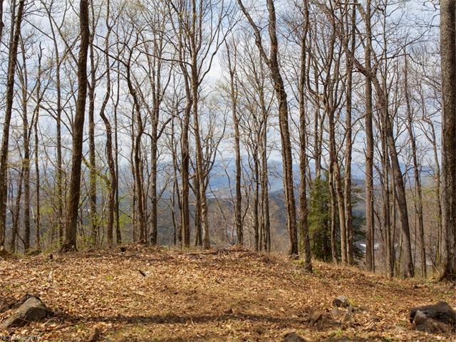 99999 Old Forest Drive - Photo 1