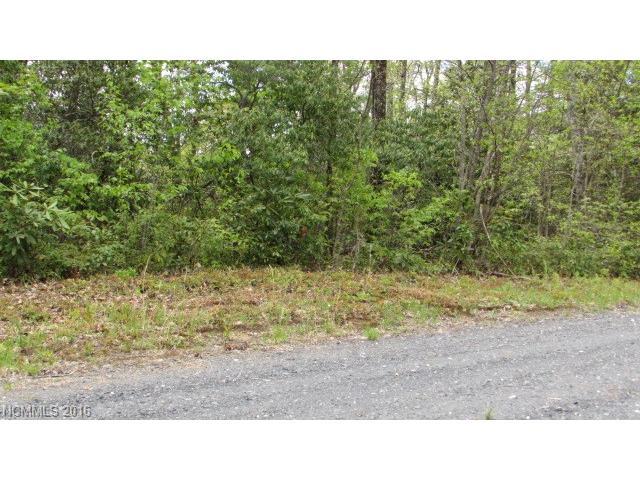 Lot#23 Skyline Road - Photo 1