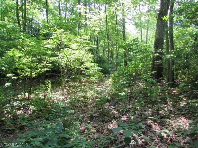 Lot#30 Trails End Road - Photo 1