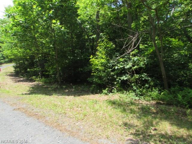 Lot#11 Walker Ridge Road - Photo 1