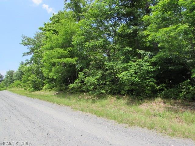 Lot#12 Walker Ridge Road - Photo 1