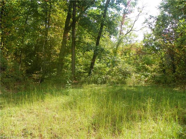 Lot 135 High Bluff Drive - Photo 1