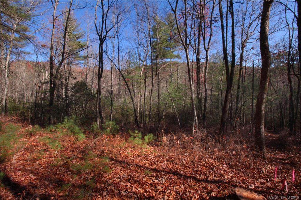 3B Dragon Tail Trail - Photo 1