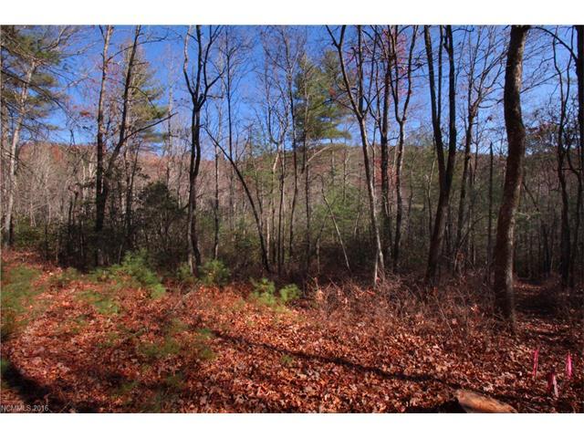 3B Dragon Tail Trail - Photo 1