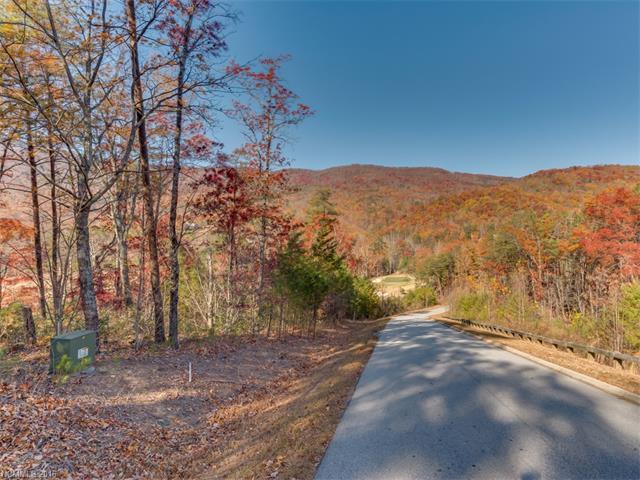 LOT 45 Deep Gap Farm Drive - Photo 1