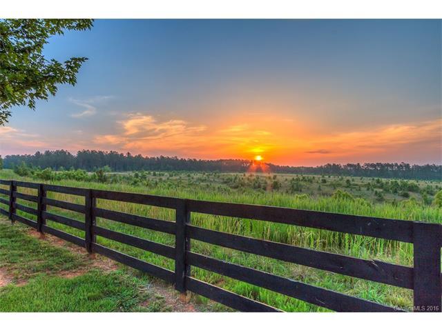 11234 Island View Drive - Photo 1
