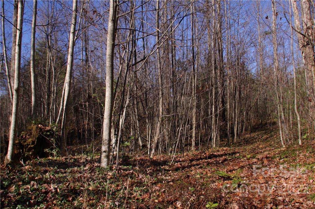 Lot 63 Peppervine Circle - Photo 1