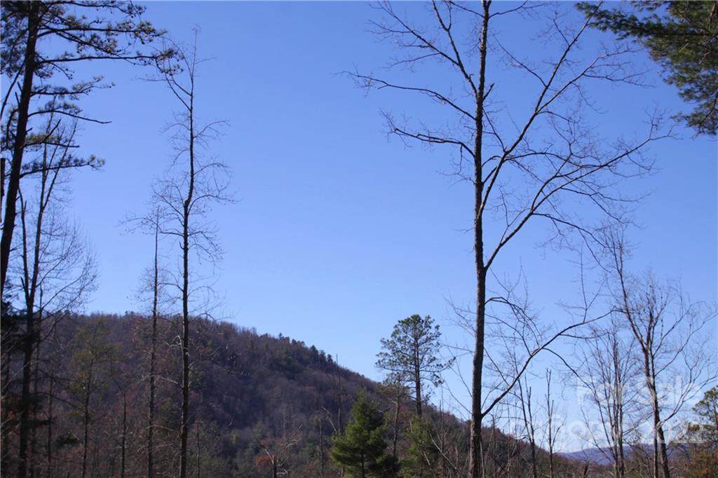Lot 62 & 63 Peppervine Circle - Photo 1