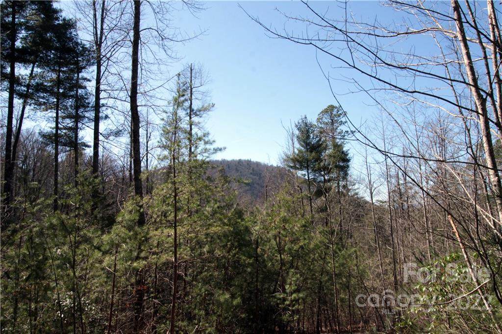 Lot 62 Peppervine Circle - Photo 1
