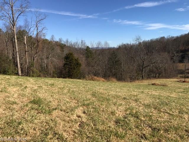 TBD Stoneridge Trail - Photo 1